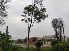 -宝丰清凉寺汝官窑遗址展览馆