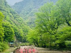 -水墨汀溪风景区