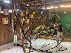 -上海大自然野生昆虫馆(东方明珠·爬宠昆虫探索中心)