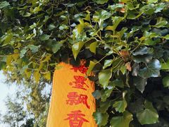 -中国翰园碑林