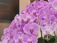 -TSK齿科德申会口腔门诊·联洋诊所