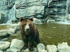 -北京野生动物园