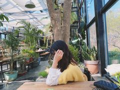 -北马山庄植趣咖啡