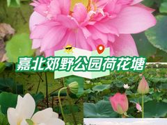 -嘉北郊野公园