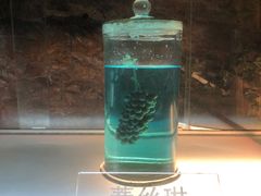 -青岛葡萄酒博物馆