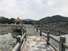 -红山村