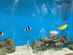 -Behring World of Animals(上海自然博物馆店)