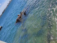 -珍珠港国家纪念馆