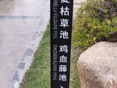 -溧阳天目湖天沐温泉