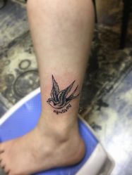 -针牛刺客·刺青纹身