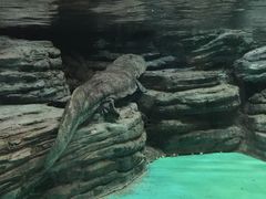 -常州海昌海洋探索馆