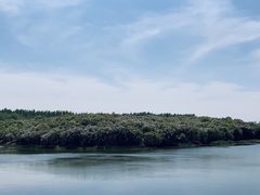 -丁香湖公园