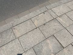 -索拉古贝(义乌北苑店)