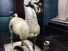 -广西壮族自治区博物馆