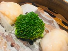 -一笼小幸运