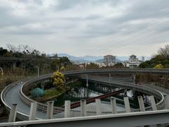 -福道