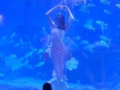 -石林冰雪海洋世界