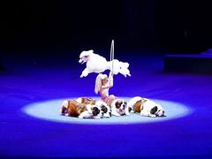 -珠海横琴长隆《卡卡虎奇遇记》