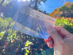 -吉林拉法山
