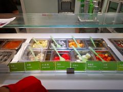 -Salud撒露欧洲冻酸奶(798艺术区店)
