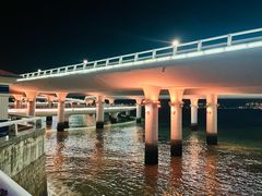 -演武大桥观景平台