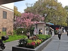 -同济大学本部学苑饮食广场