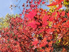 -杭州半山国家森林公园