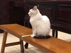 -南京君和堂中医门诊部