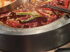 -辣伍鲜毛肚老火锅(元一店)