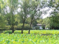 -西溪国家湿地公园