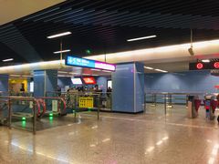 -大龙山(地铁站)