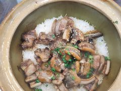 -红星光发煲仔饭(文海店)