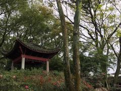 -天一阁博物院