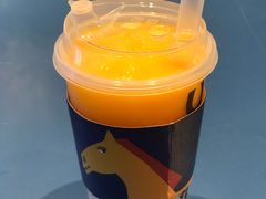 -春丽小马(济南恒隆广场店)