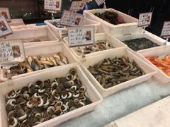 -渔人码头(中南店)