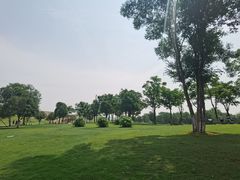 -盘龙城国家考古遗址公园