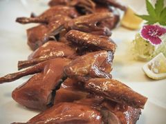 茶皇烟熏鸽-伯衡55·吉品轩(乌鲁木齐南路店)