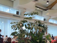 -金河半岛园林酒家(金融城店)