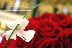 美雯苏宁卢浮宫-苏宁环球套房饭店·宴会厅