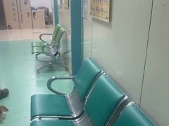 -北京观赏动物医院·24小时大型综合·猫专科·异宠专科