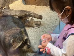 -昆明大悦城未来动物城(螺蛳湾中心店)
