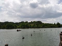 -宁波野生动物园