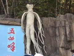-五女峰国家森林公园