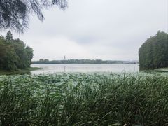 -东湖落雁景区