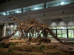 -自贡恐龙博物馆