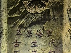 -嘉荫恐龙国家地质公园
