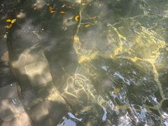 -昆明柏联SPA温泉