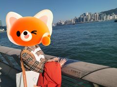 -星光大道