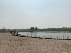 -东郊湿地公园