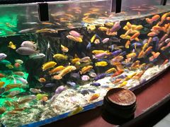 -太平洋海底世界